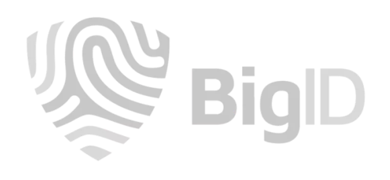 BigID_grey